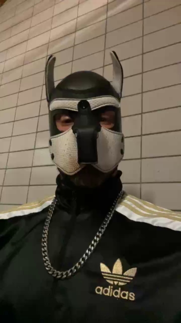 machobulle2  13-10-2021 Recorded Video Show